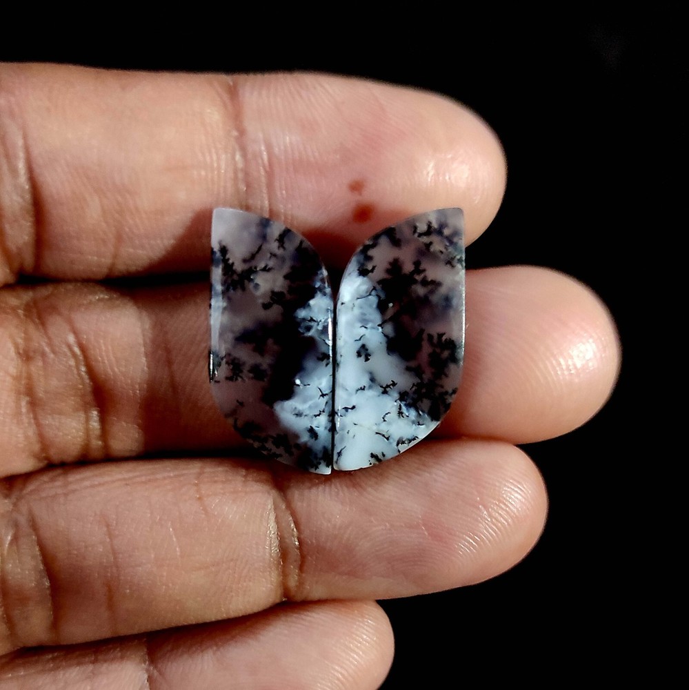 20.00 Cts Dendritic Opal Cabochon Ethical Gemstone Natural 2 Pcs 24x11x3.7 MM