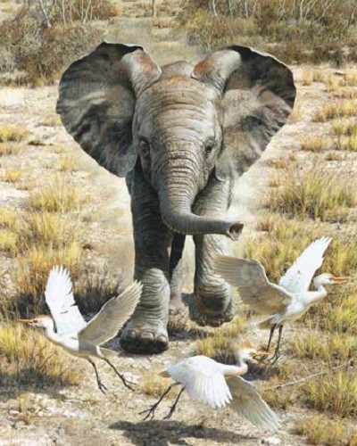 Carl Brenders GRETAS ENJUAGADAS, bebé elefante, lona giclee #23/180