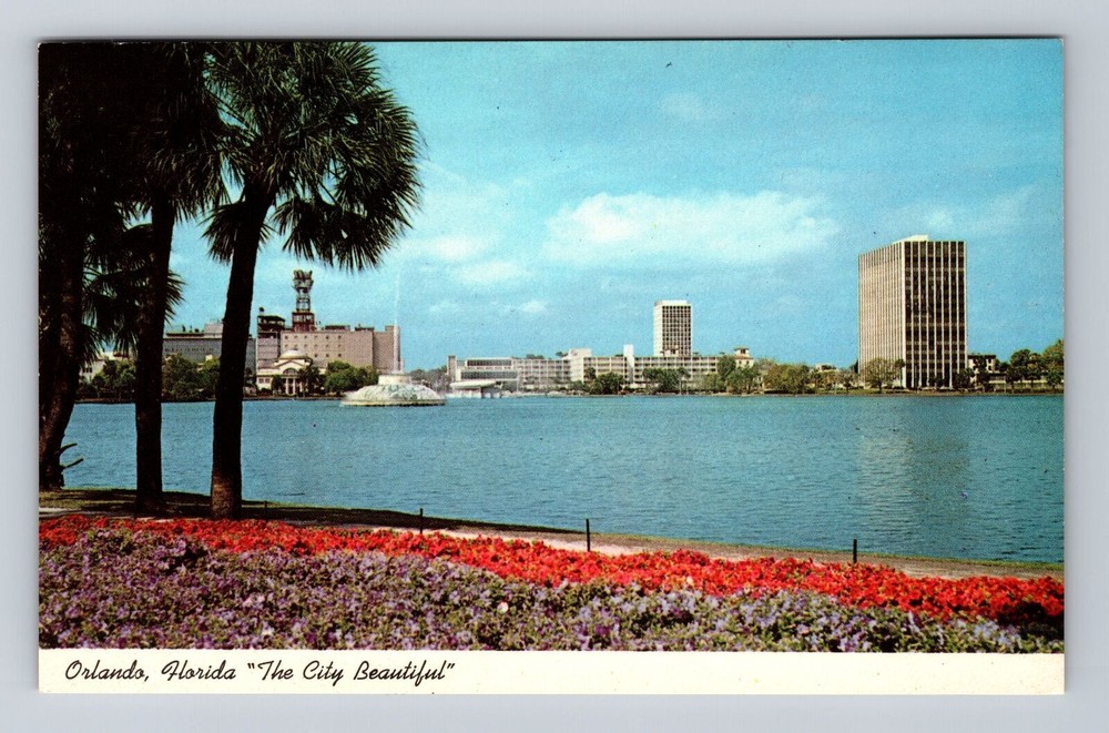 Orlando FL-Florida, Looking Towards Downtown, Antique, Vintage Postcard