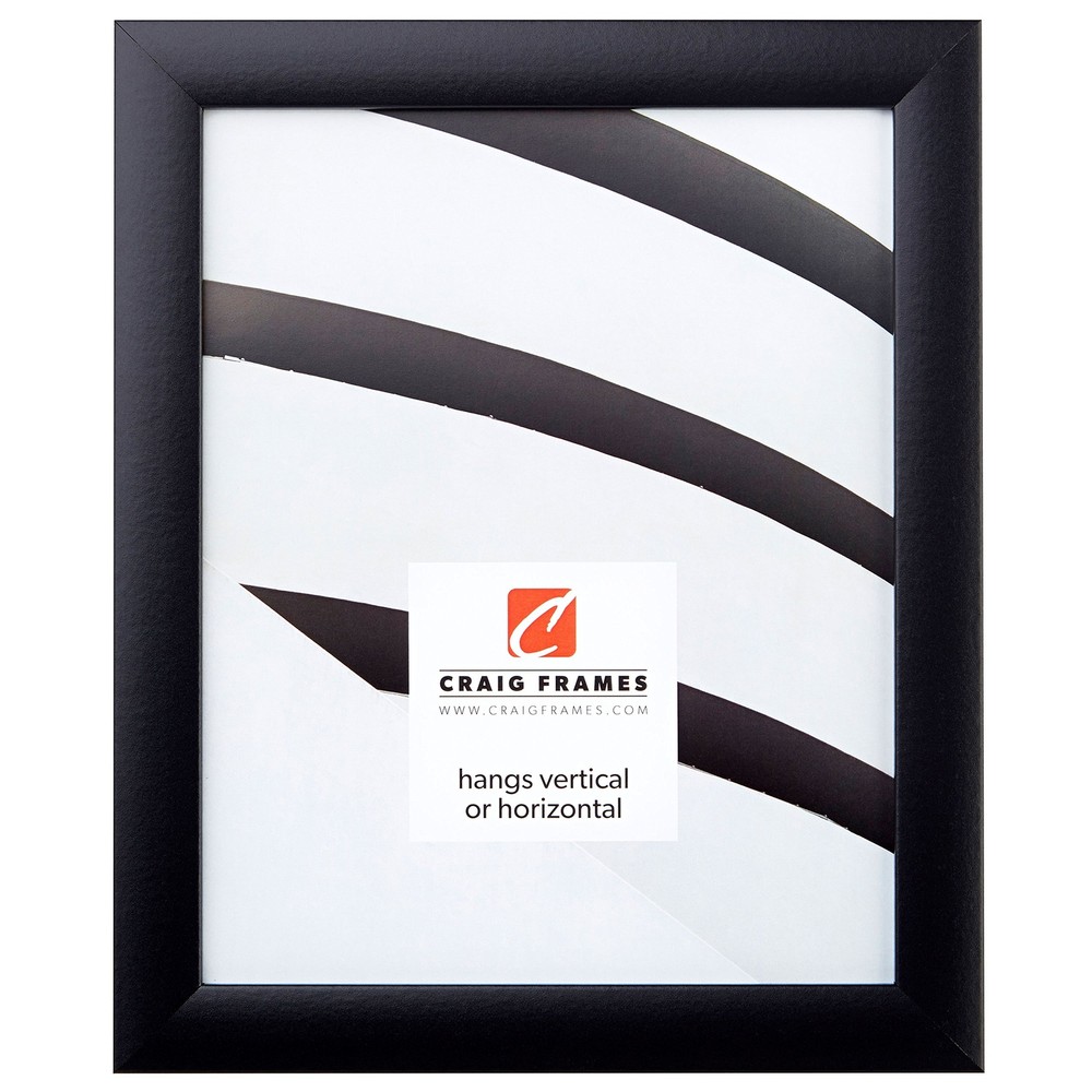 Contemporary Picture Frame, 16 x 20 Inch, Black