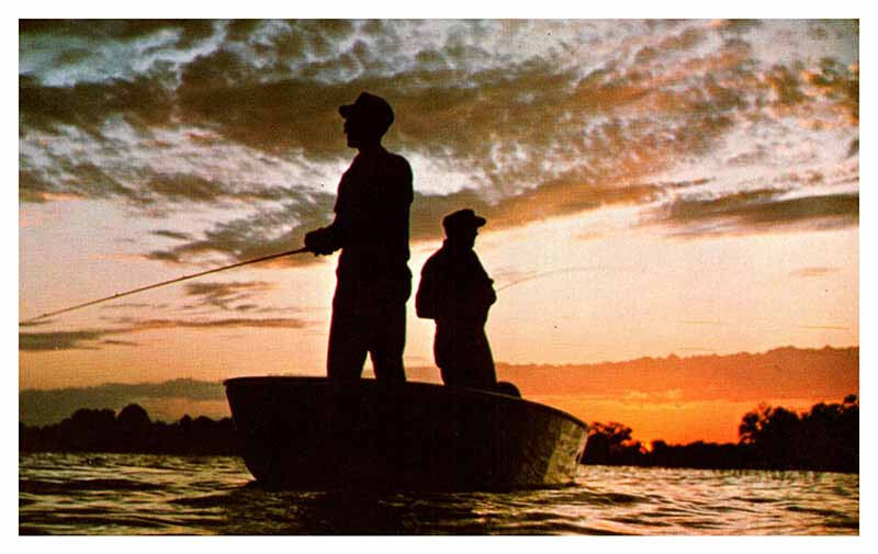 Postcard BOAT SCENE Parkersburg West Virginia WV 11/8 AU2618