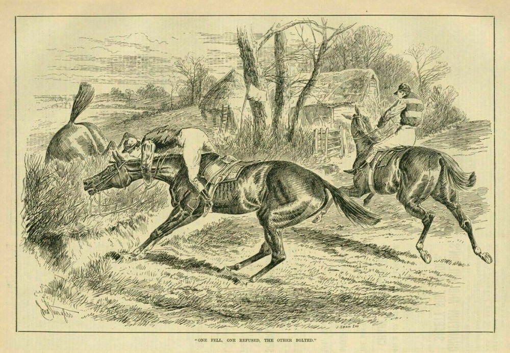 STEEPLECHASE HORSES RIDERS AT THE FENCE ONE HORSE FALLS ONE REFUSES STEEPLECHASE