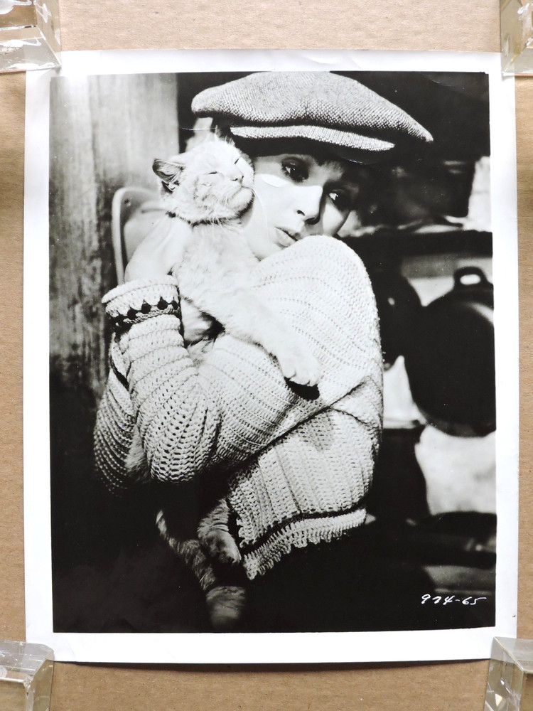 Millie Perkins with the cat original portrait photo 1959 The Diary of Anne Frank