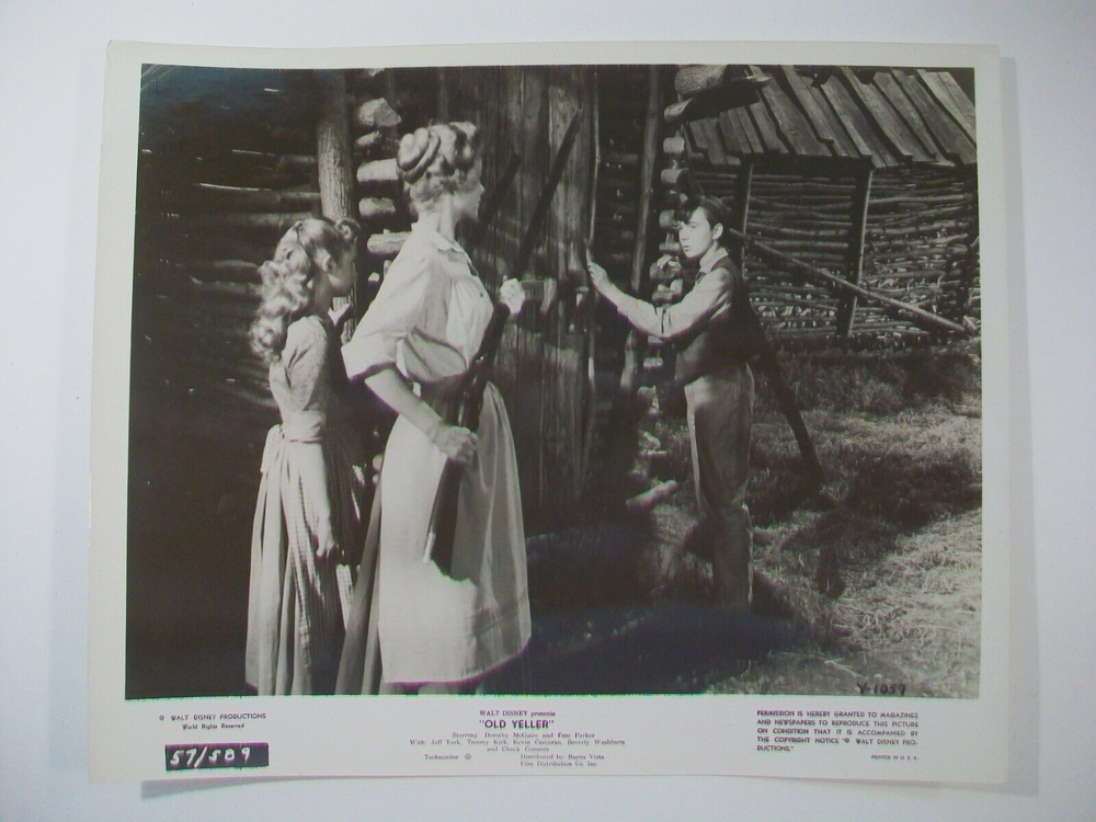 1950'S Walt Disney Old Yeller Movie Promo Press Photograph, Black & White Photo