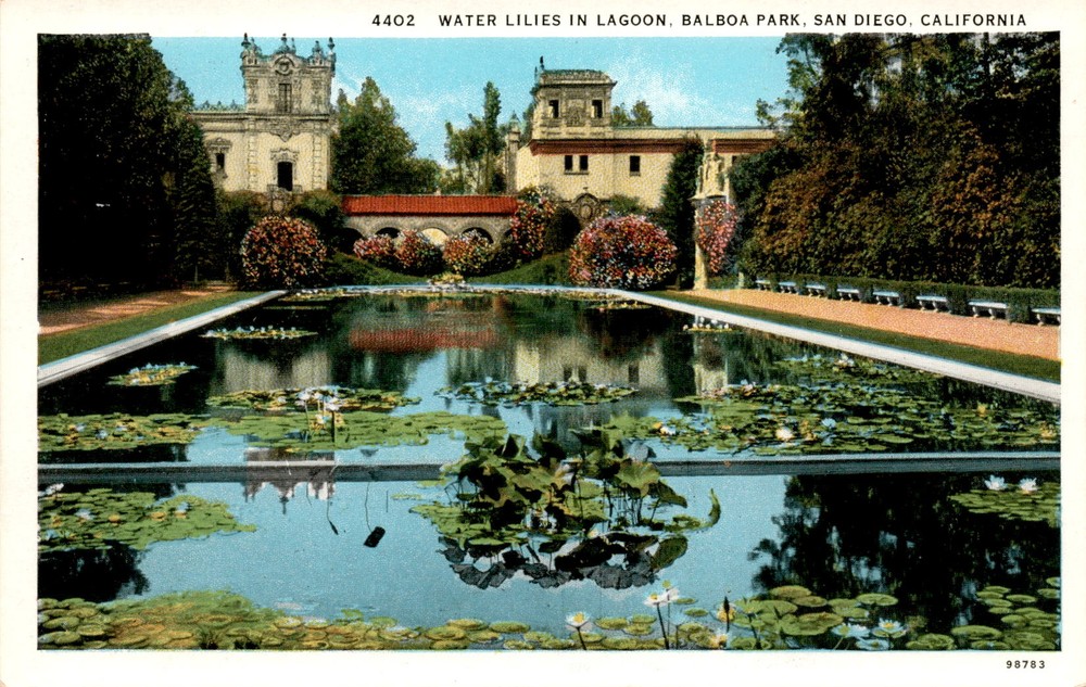 WATER LILIES, LAGOON, BALBOA PARK, SAN DIEGO, CAL Postcard