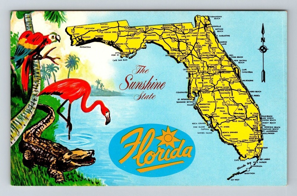 FL-Florida, Scenic Map View, Landmarks, The Sunshine State, Vintage Postcard