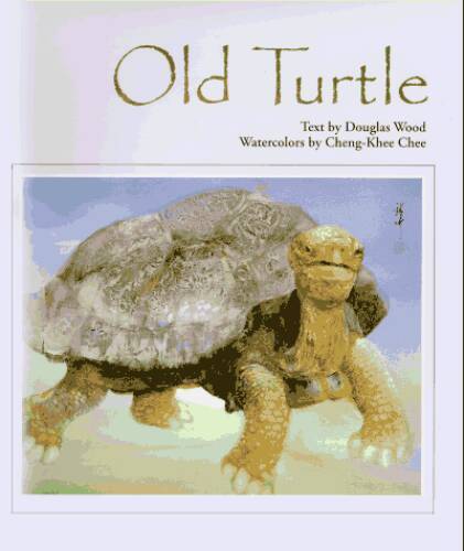 Old Turtle Hardcover by Douglas Wood in Excellent Condition