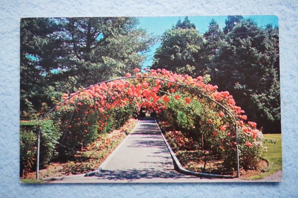 The Rose Arbor at Point Defiance Park - Tacoma Washington Park