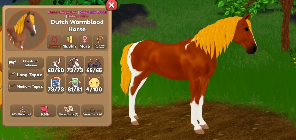 Island unique hair Dutch Warmblood RARE COAT  | Wild Horse islands | Roblox