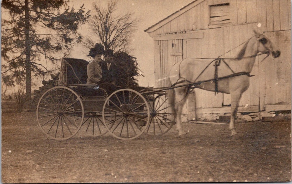 Man & Woman in Horse-Drawn Carriage c.1904-1920s Vintage RPPC Postcard     24047