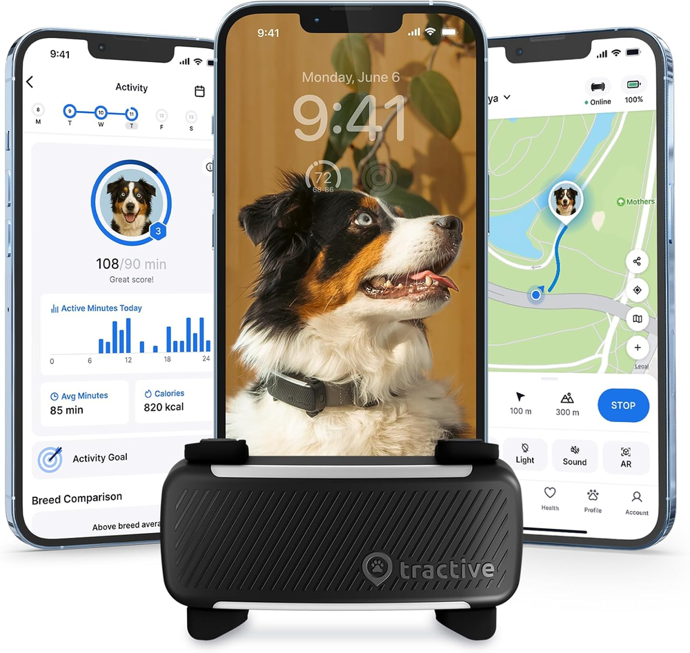 Smart Dog GPS Tracker | Live Pet Tracker with Virtual Fence | Vital Signs Monito