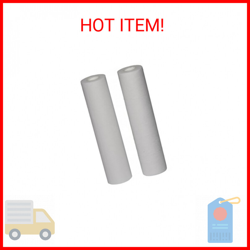 EcoPure EPW2B Whole House Replacement Filter, 2 Count (Pack of 1), White