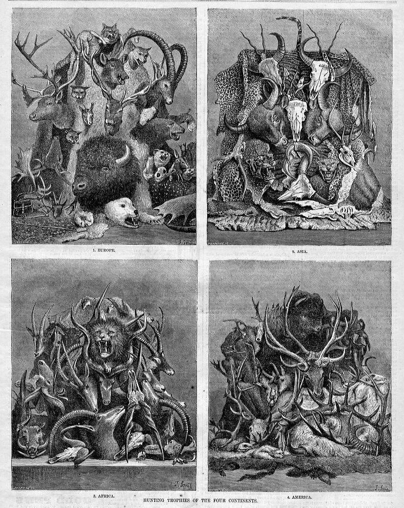 HUNTING TROPHIES BUFFALO LION ELK DEER ANTELOPE POLAR BEAR 1876 HARPER'S WEEKLY