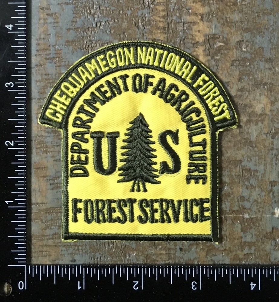 Vintage USFS Chequamegon National Forest Wisconsin Department of Agriculture Patch