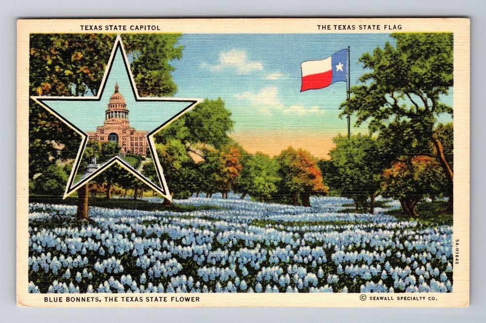 Blue Bonnets, The Texas State Flower, State Flag, State Capitol Vintage Postcard