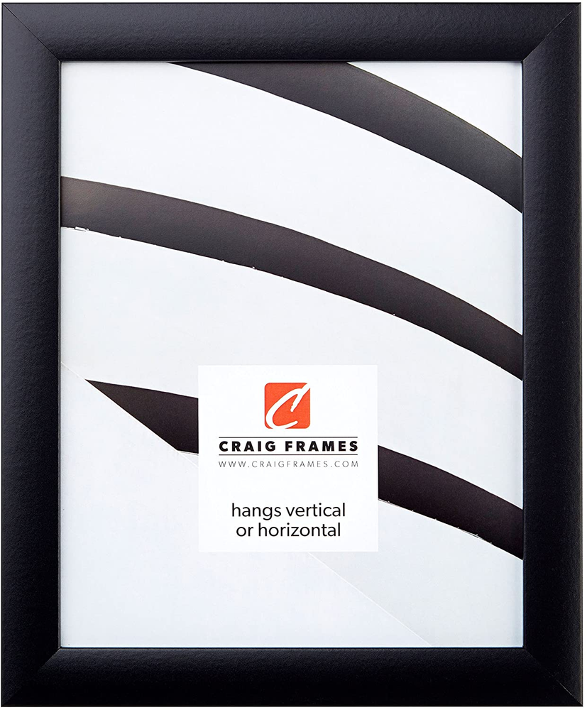 Contemporary Picture Frame, 8 X 10 Inch, Black