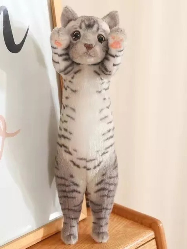 Kitten Tabby Cat 10