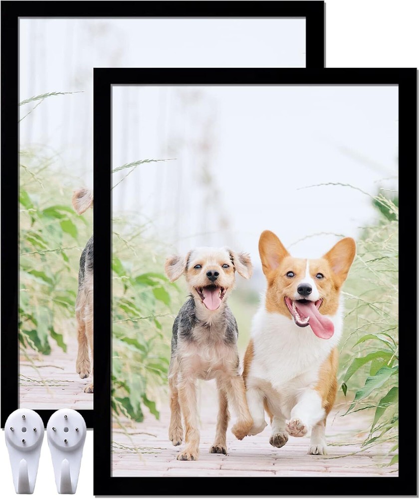 12x16 Modern Clear Picture Frame Set of 2 for Posters & Photos