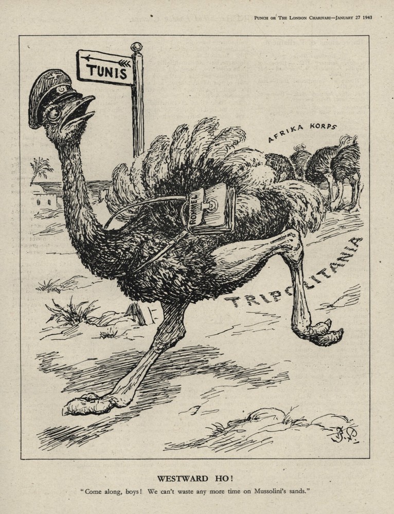 Rare WW2 British Cartoon Rommel Ostrich Afrika Korps Western Desert Campaign