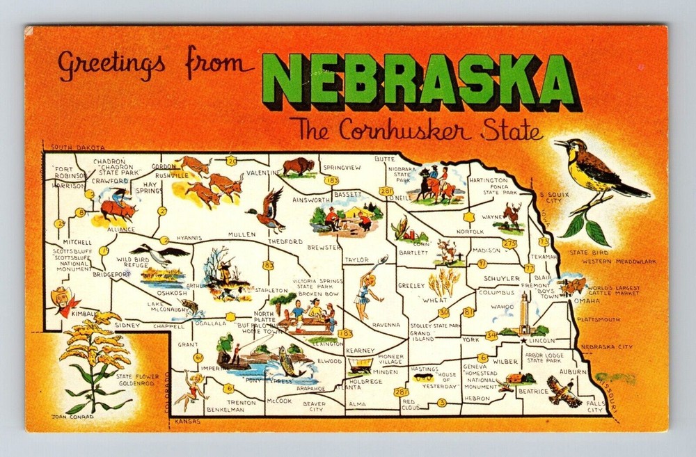 NE-Nebraska, Scenic Map Greetings, Landmarks, Bird, Flower, Vintage Postcard
