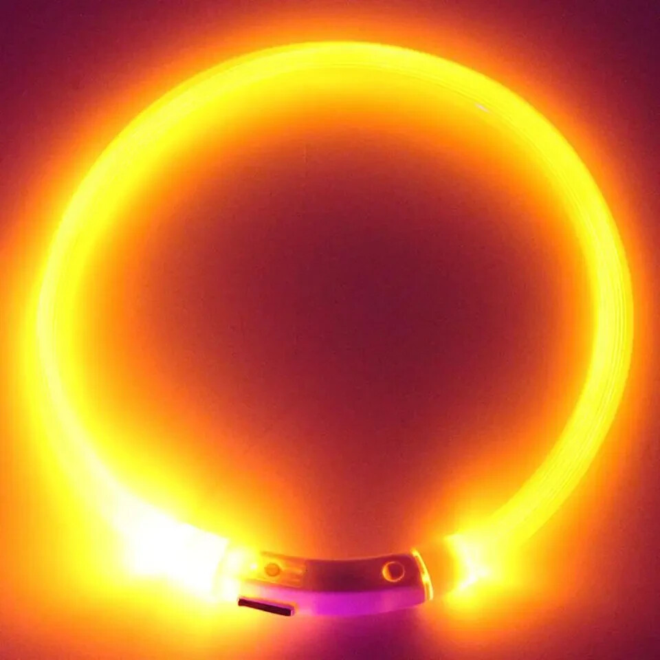 RECHARGEABLE LED Light-up Flash GLOW COLLAR Dog Pet Safety MICRO USB adjustable