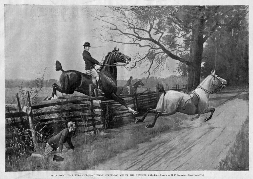 HORSES, STEEPLE-CHASE IN GENESEE VALLEY, RIDER FALLS
